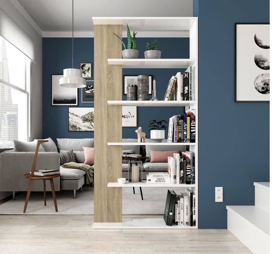 Room Divider Ideas