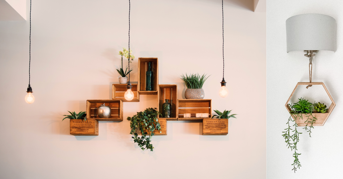 Wall planters Indoor